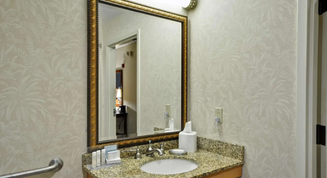 Двухместный номер Standard Hampton Inn & Suites Charleston/Mt. Pleasant-Isle Of Palms