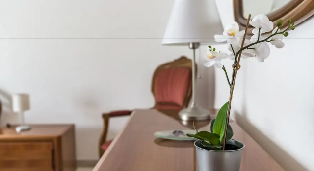 Апартаменты Classic с 2 комнатами с балконом Appartamenti Albero di Giada