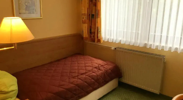 Одноместный номер Standard Panorama Hotel Pension Frohnau