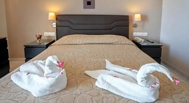 Одноместный номер Superior Hotel Koala