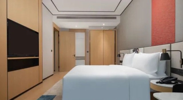 Люкс Hilton Garden Inn Shenzhen Guangming Hongqiao Park
