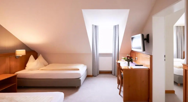 Номер Standard Hotel Alter Wirt