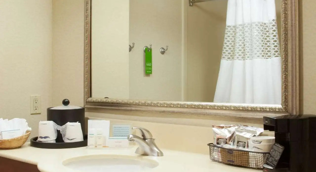 Номер Standard Hampton Inn and Suites-Brownsville