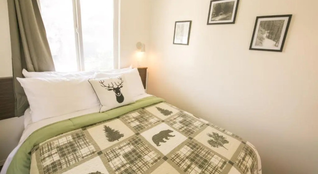 Двухместный номер Deluxe Mountain Springs Motel