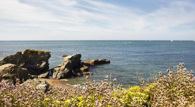 Villa Saint-Gilles-Croix-de-Vie, 3 pièces, 6 personnes - FR-1-428-13