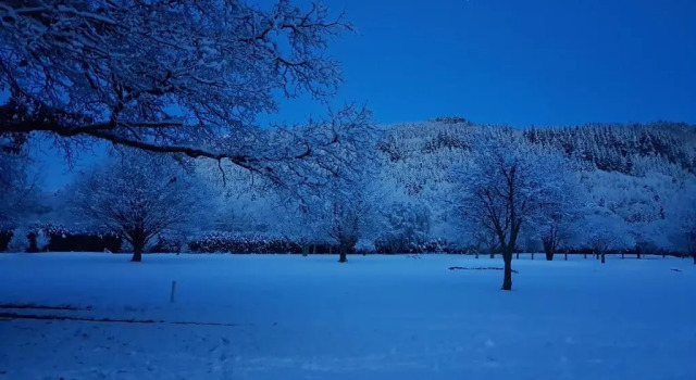 Апартаменты Chambers Apartment @ The Old Magistrates