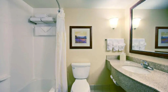 Premium- dobbelt værelse Hilton Garden Inn Springfield