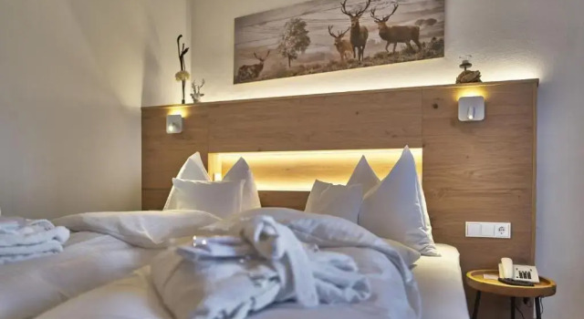 Семейный номер Standard Hotel Lindenhof