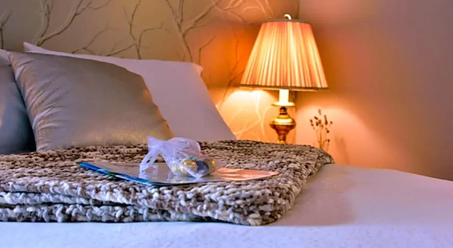 The Rockwell-Harrison Guest Lodge, Buchen Sie Pension Harrison Hot Springs 