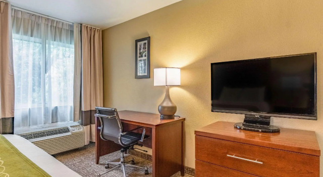 Четырёхместный номер Standard Comfort Inn & Suites Tuscumbia-Muscle Shoals