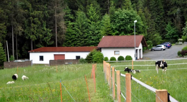 Коттедж Ferienhaus Müller
