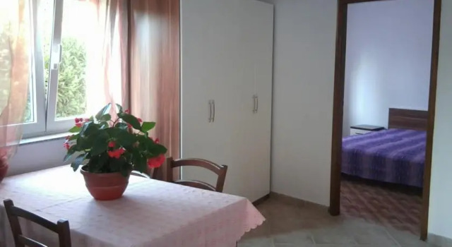 Apartments Edo