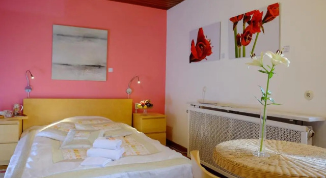 Двухместный номер Classic Rhein River Guesthouse - direkt am Rhein