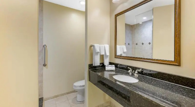 Люкс Best Western PLUS Vineyard Inn and Suites
