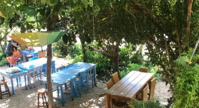 Senayablaevpansiyonculuk