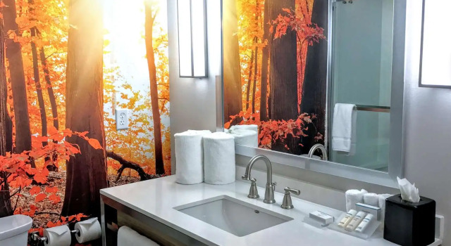 Четырёхместный номер Standard Hilton Garden Inn Minneapolis Airport Mall of America