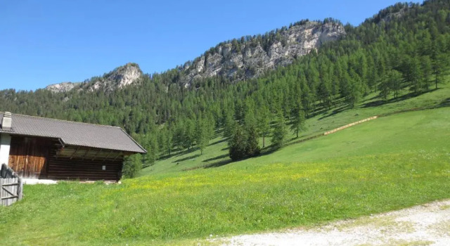 Номер Standard Plafötschalm