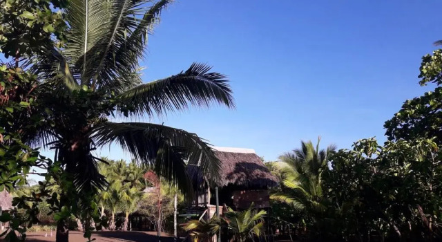 Кровать в общем номере Hostal Pachamama