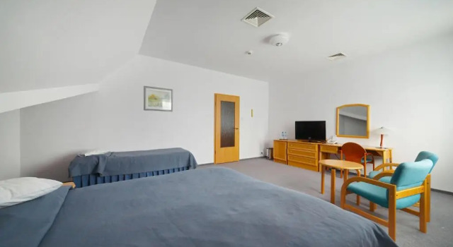 Двухместный номер Standard Hotel Perła Bieszczadów Geovita