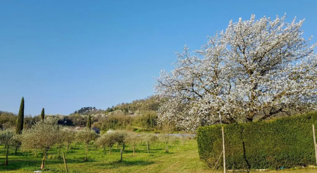 Agriturismo San Michele