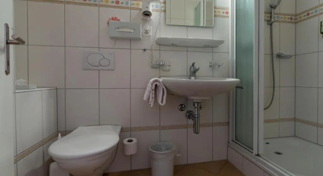Двухместный номер Standard Hotel Cresta