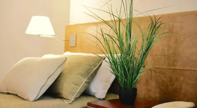 Двухместный номер Deluxe Hotel Guaminí Misión