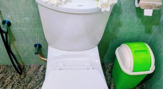 Двухместный номер Standard с балконом Greenwood Udawalawa Safari Resort