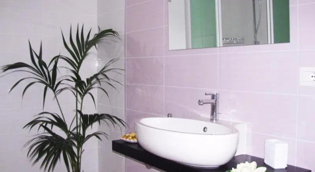 Standard room Ibiscus B&B