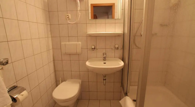 Одноместный номер Standard Hotel Weisse Taube