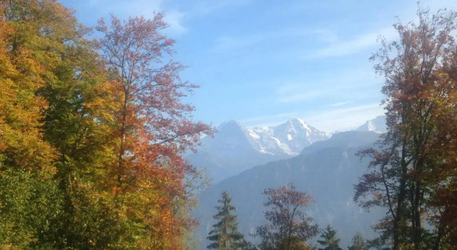 Люкс App. Seeblick Top of Interlaken