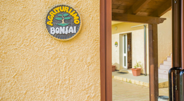 Bonsai B&B Alghero, Varaa Bed and Breakfast Santa Maria la Palma Sardinia North