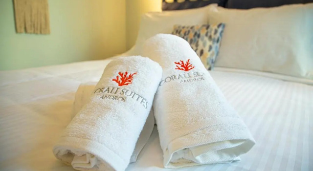 Люкс Deluxe Corali Suites Andros