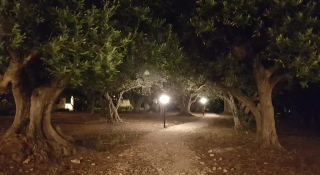 Апартаменты Casale La Macina - Hotel, Scopello