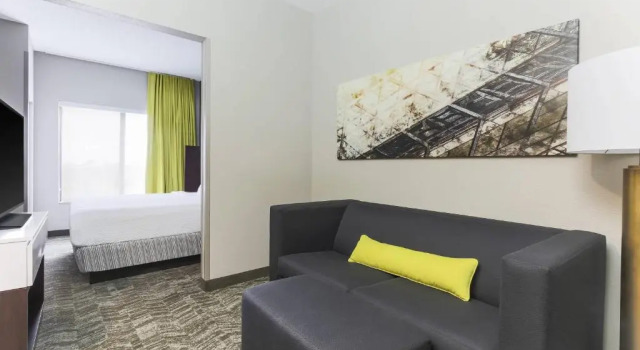 Двухместный люкс студия SpringHill Suites by Marriott Austin Parmer/Tech Ridge