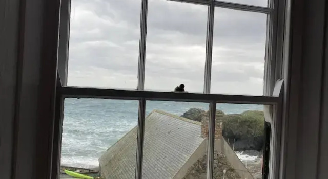 Standard- værelse med havudsigt Cadgwith Cove Inn