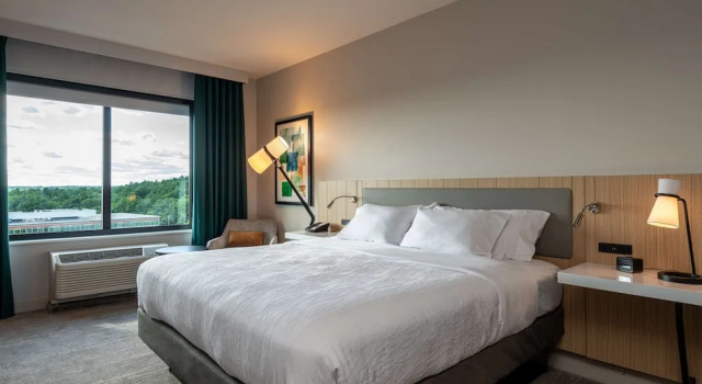 Двухместный люкс Hilton Garden Inn Boston Canton, Ma