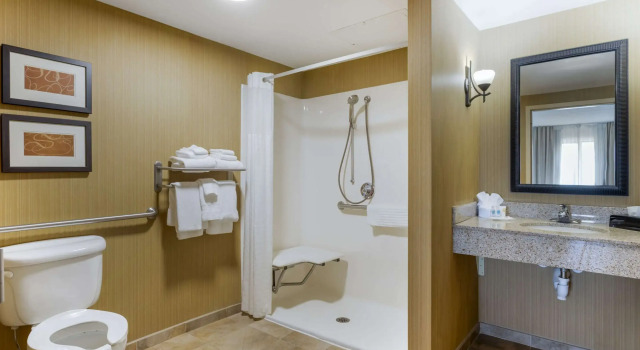 Четырёхместный люкс Comfort Suites Kodak Sevierville