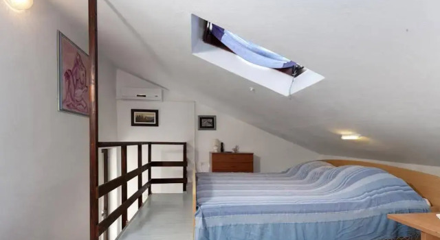 Apartment Orlic