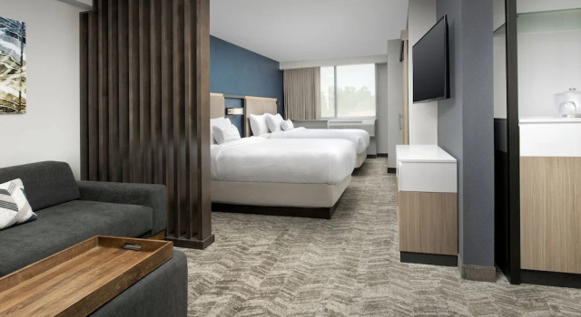 Suite SpringHill Suites by Marriott Atlanta Perimeter Center
