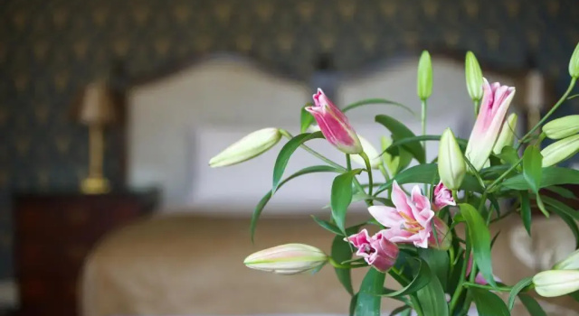 Двухместный коттедж Donnington Grove Country Club
