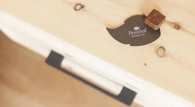 Двухместный номер Standard с балконом Hotel-Chalet Pennhof