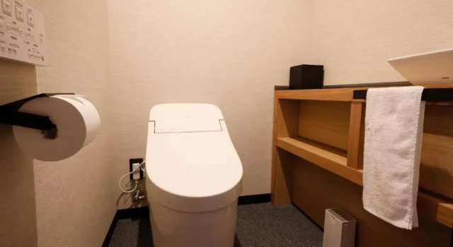 Двухместный номер Comfort (Ourinkaku) Hida Takayama Onsen Takayama Green Hotel - KEIO GROUP HOTELS