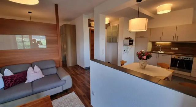 Апартаменты Appartment Schwarzenauer