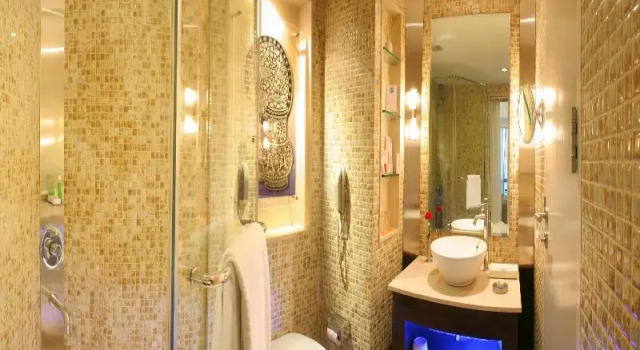 Одноместный номер Standard The Golkonda Hotel