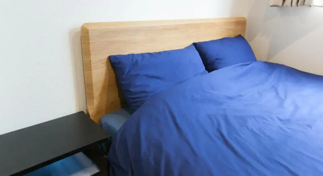 Двухместный номер Economy Hotel Cocoro Inn Asakusa Kuramae