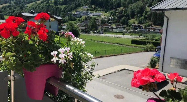 Апартаменты с 2 комнатами с видом на горы Art Apart Nomay Summercard Blick Top of Salzburg