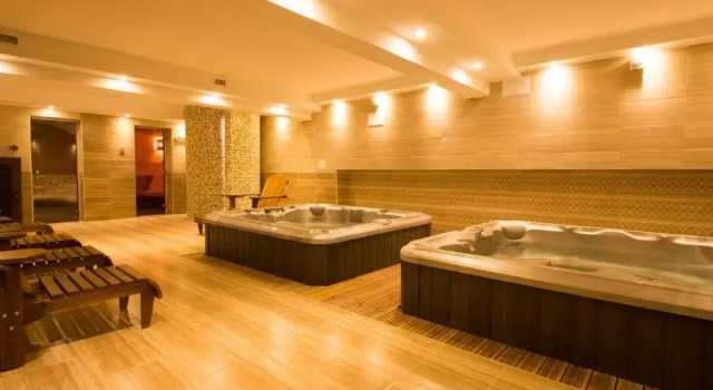 Люкс Park Hotel Asenevtsi