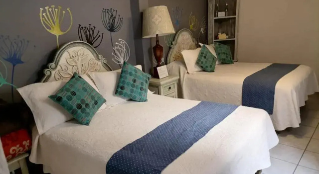 Двухместный номер Standard Hotel Posada de Santa Ana