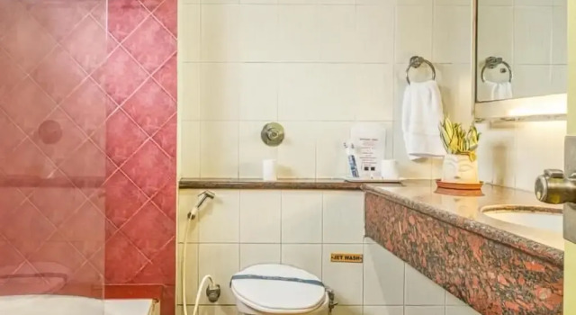 Двухместный номер Standard с балконом и с видом на парк Parklane Hotel