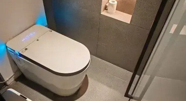 Suite Business Daisy Hotel